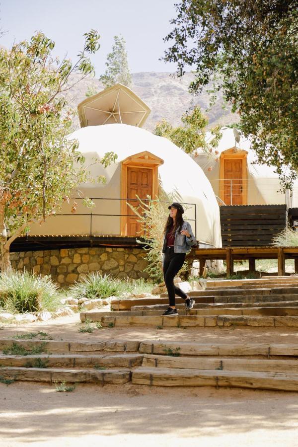 Milodge Elqui Domos Pisco Elqui Eksteriør bilde