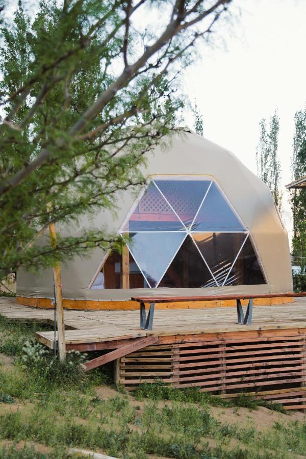 Milodge Elqui Domos Pisco Elqui Eksteriør bilde