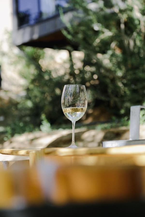 Milodge Elqui Domos Pisco Elqui Eksteriør bilde